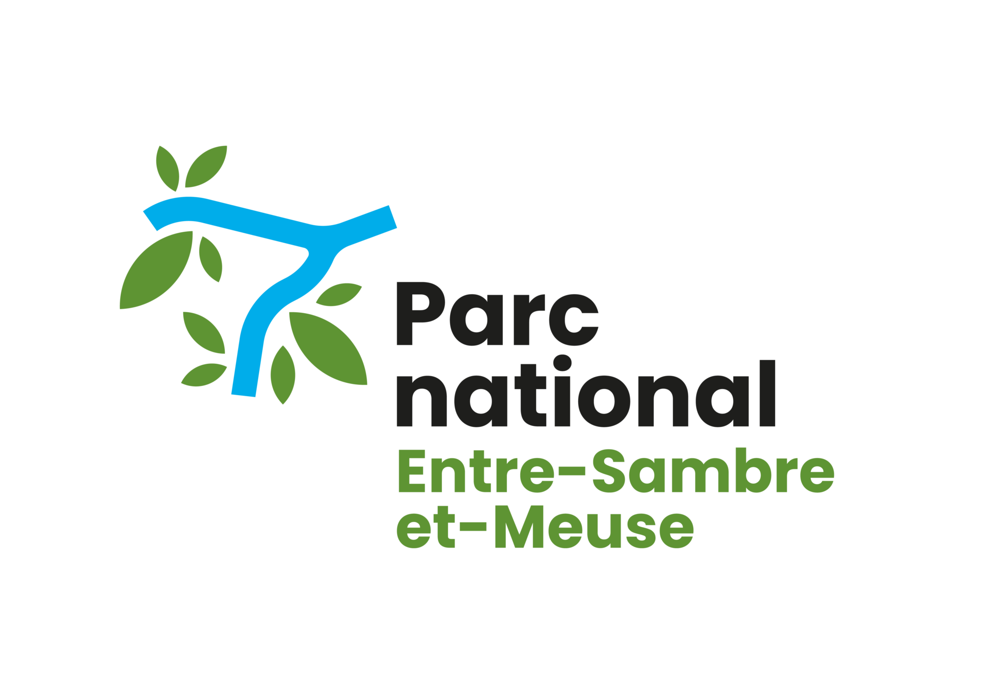 PN-ESM-LOGO-RVB