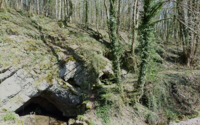 Au coeur des Tiennes