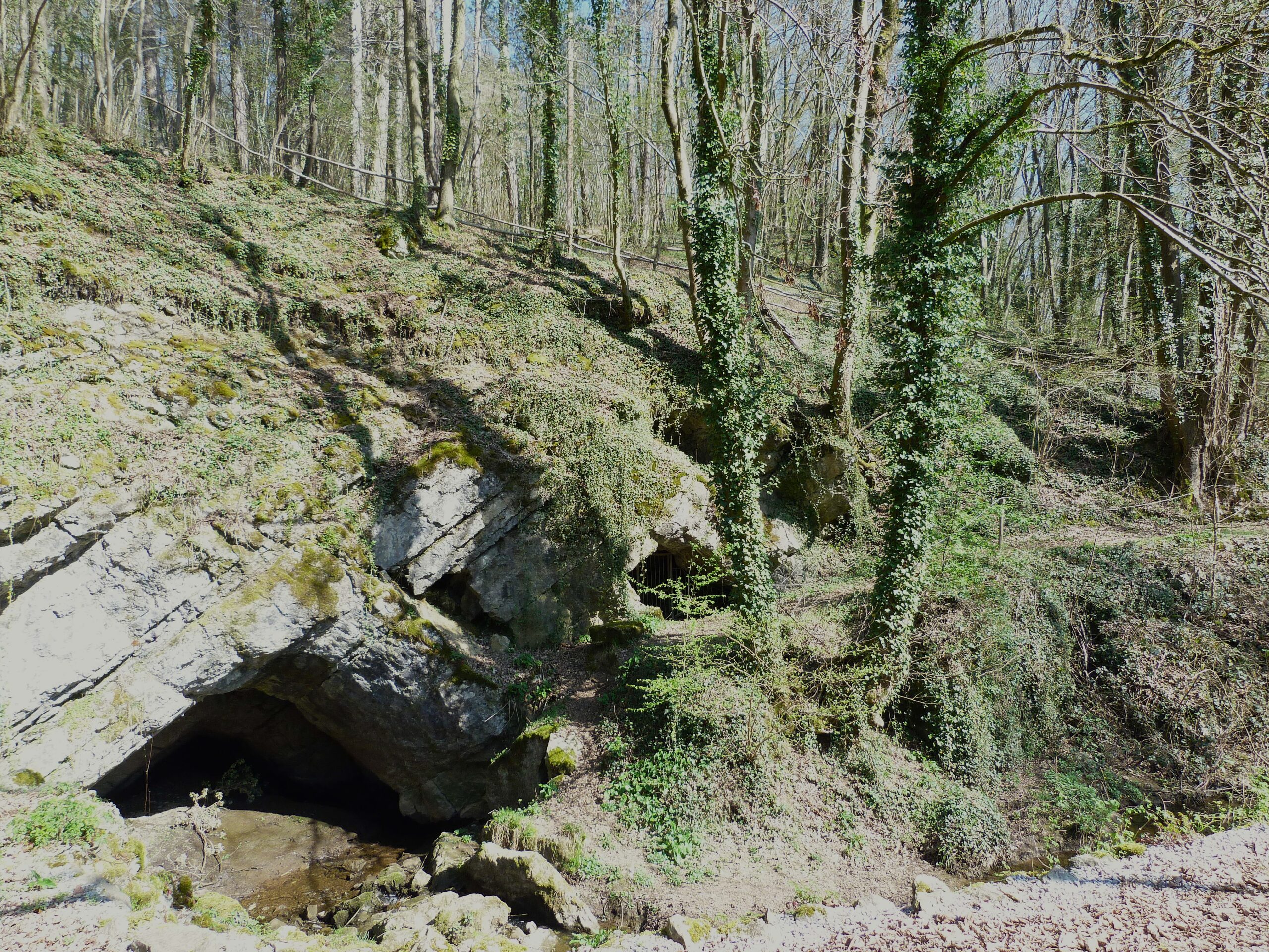 Adugeoir - Grottes de Neptune - Petigny