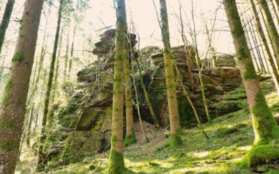 GRP 124 – Tour du parc national Entre-Sambre-et-Meuse (itinéraire sud)