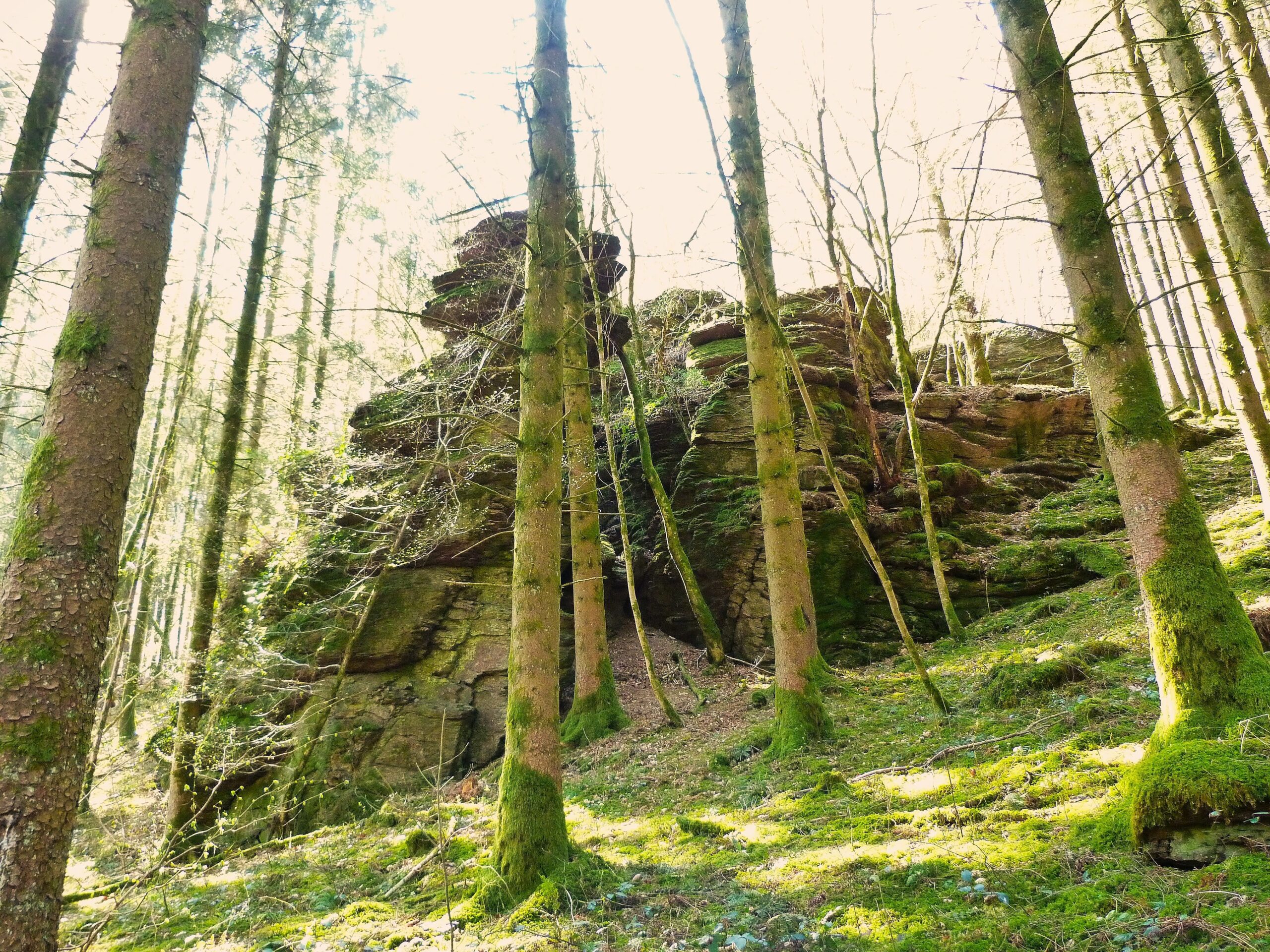 Roche à tchapia Presgaux